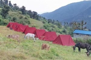 ali bedni bugyal trek
