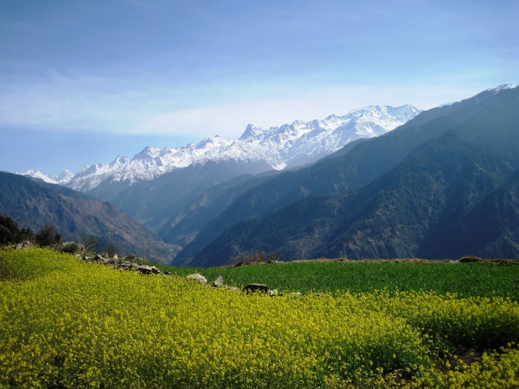 Dayara Bugyal Trek