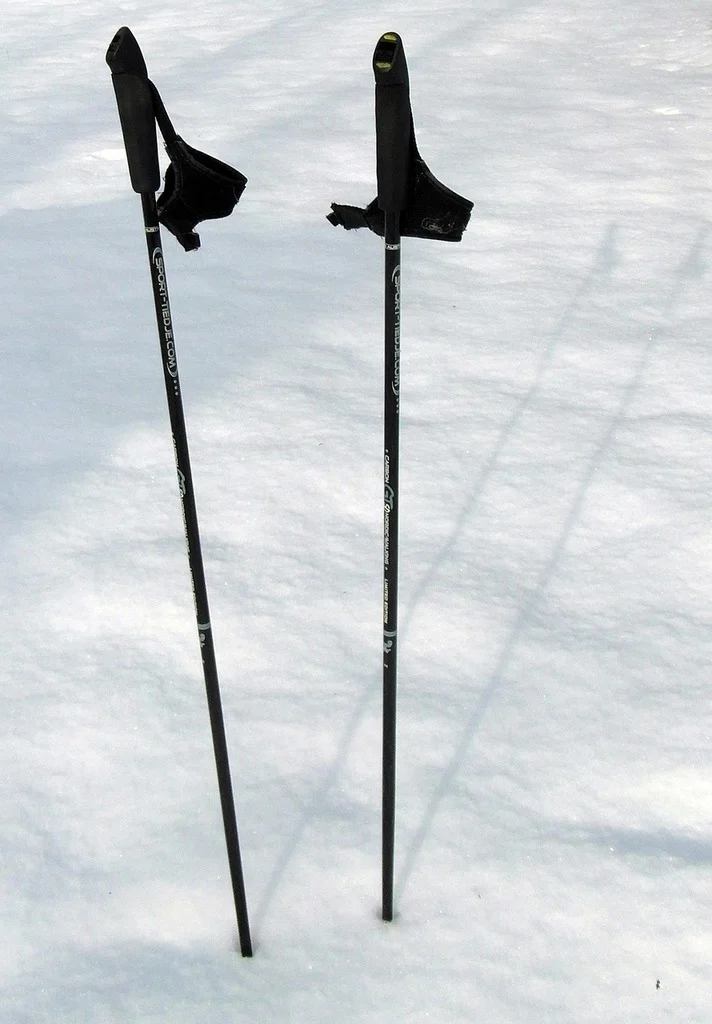 Trekking Pole