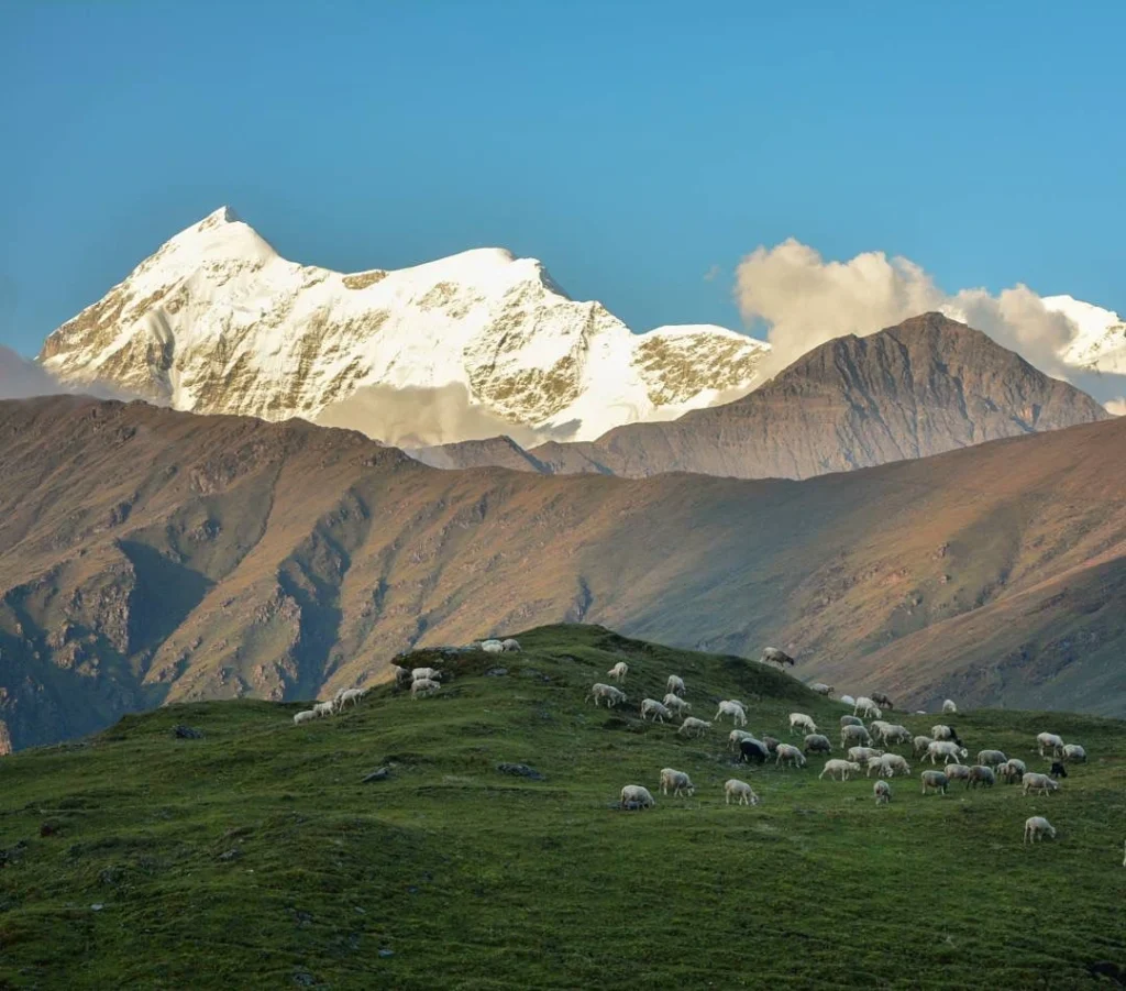 ali bedni bugyal trek