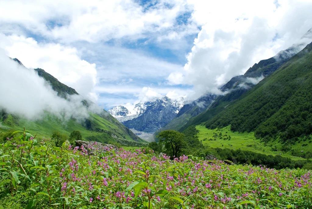 Valley of flowers trek