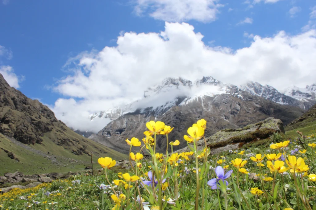 Valley of flowers trek