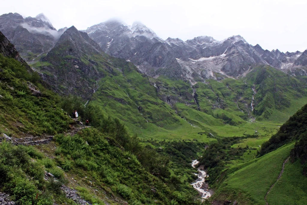Valley of flowers trek